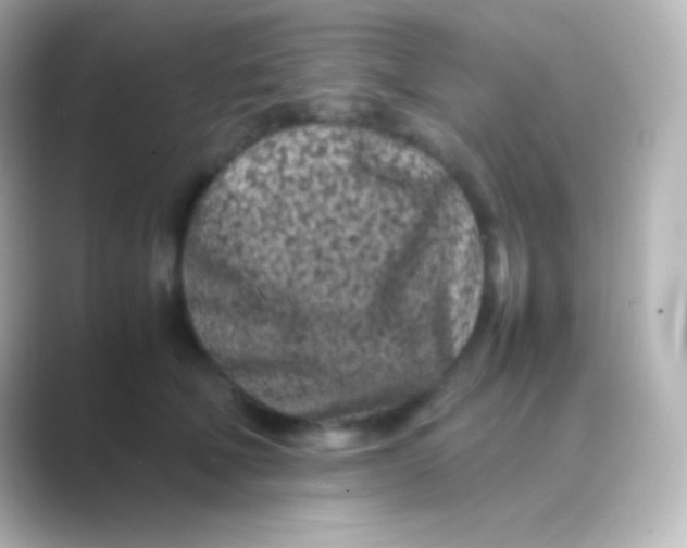 X0000088700610200706211946