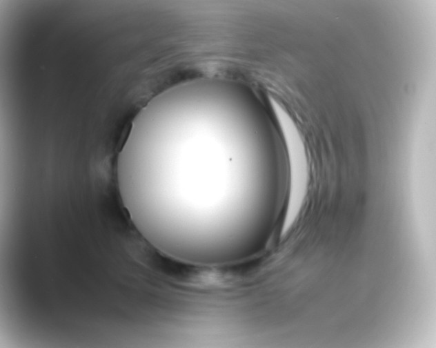 X0000088700611200706211946