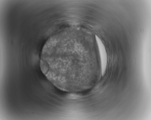 X0000088700614200706211946