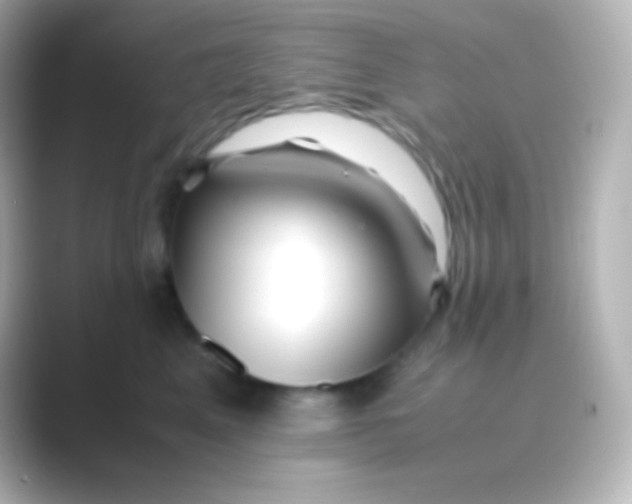 X0000088700617200706211946