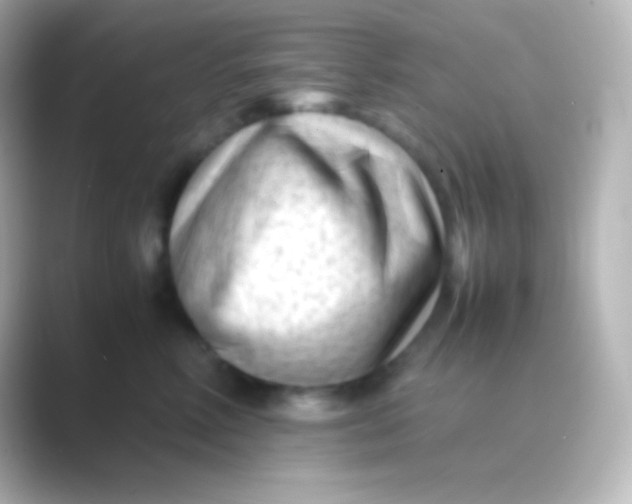 X0000088700618200706211946