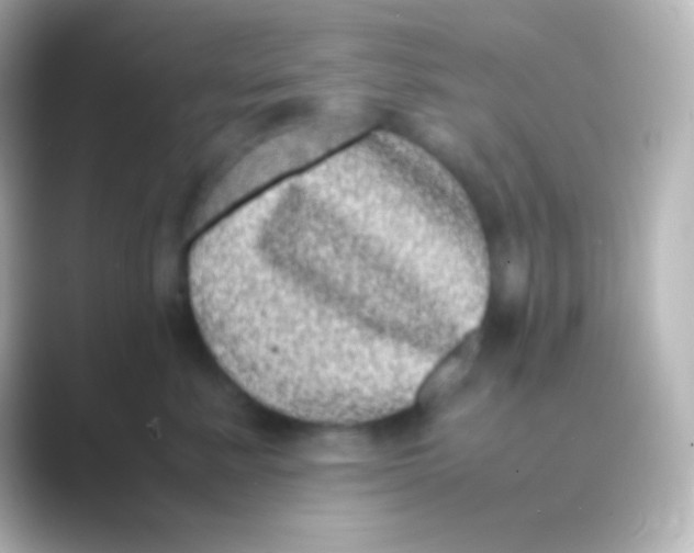 X0000088700619200706211946