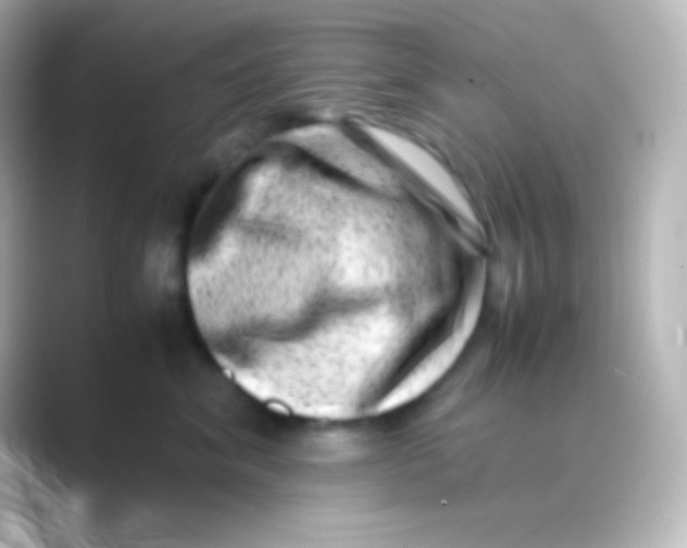 X0000088700620200706211946