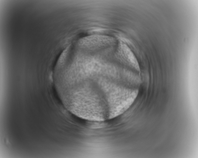 X0000088700621200706211946