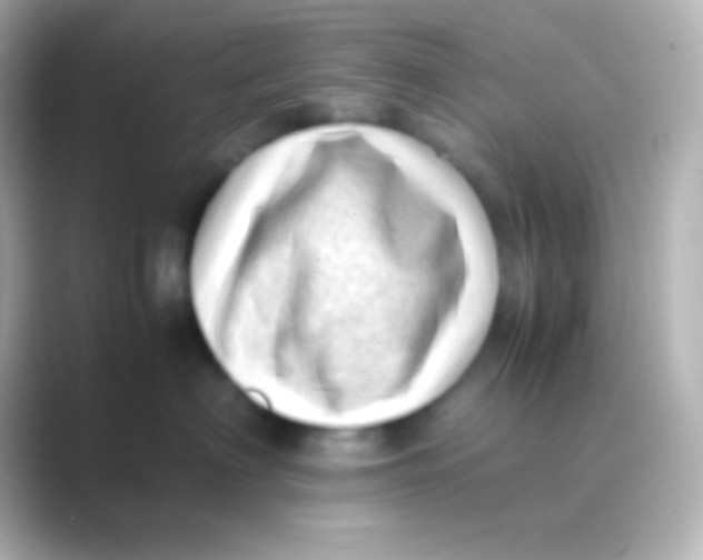 X0000088700622200706211946