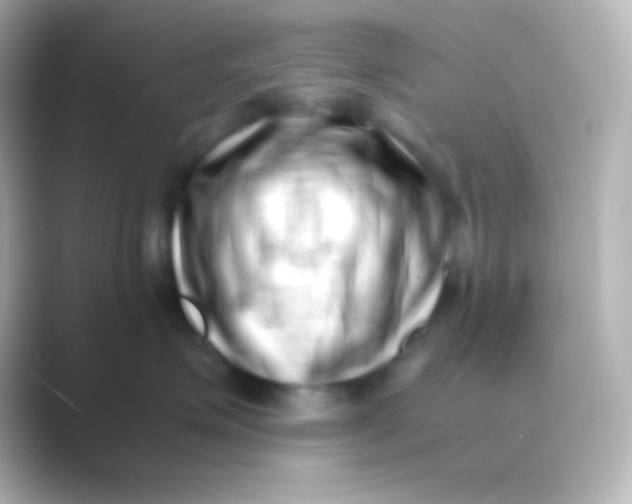 X0000088700623200706211946