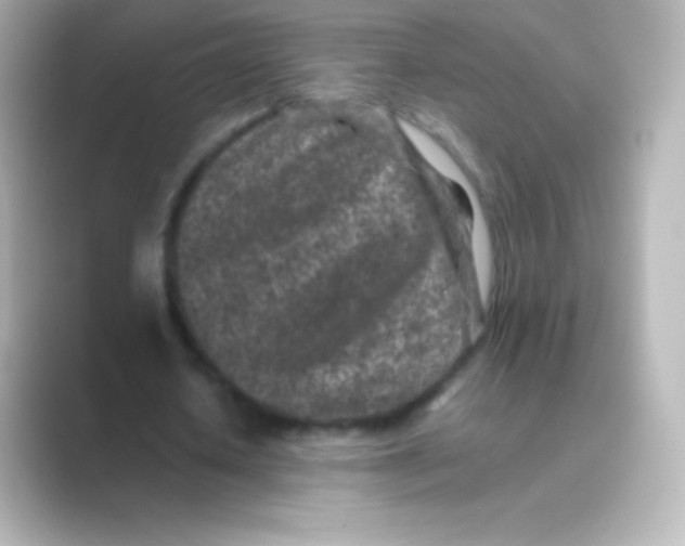 X0000088700626200706211945