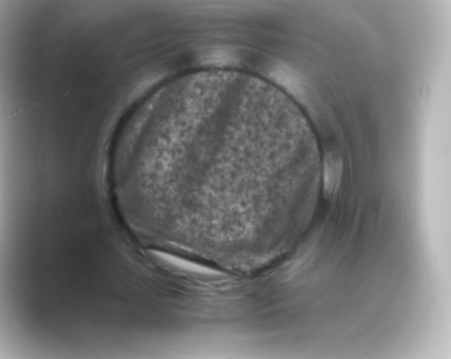 X0000088700627200706211945