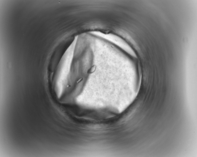 X0000088700629200706211945