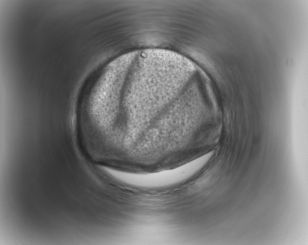 X0000088700630200706211945