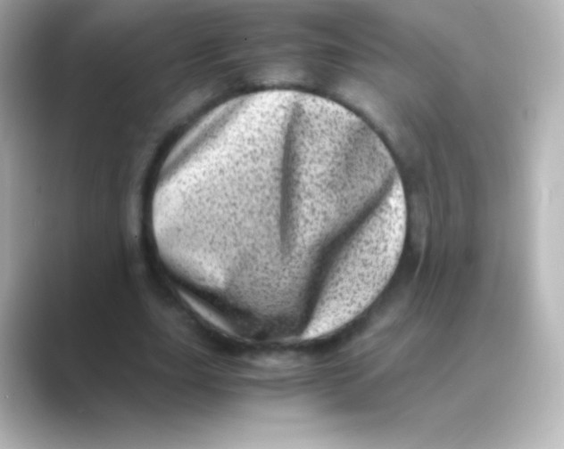 X0000088700631200706211945