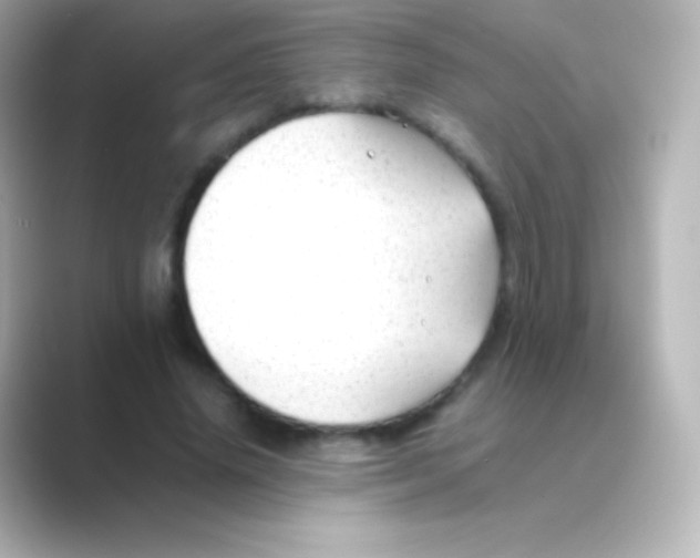 X0000088700636200706211945