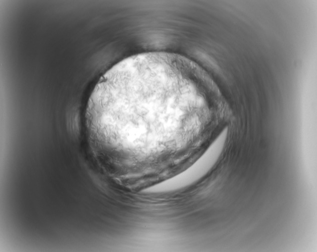 X0000088700638200706211945