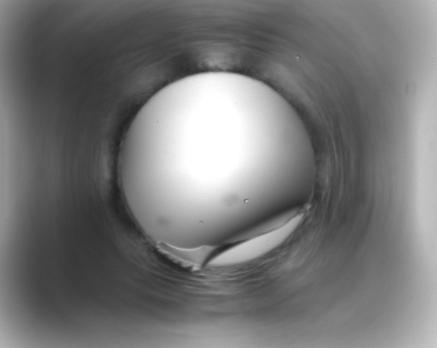 X0000088700639200706211945