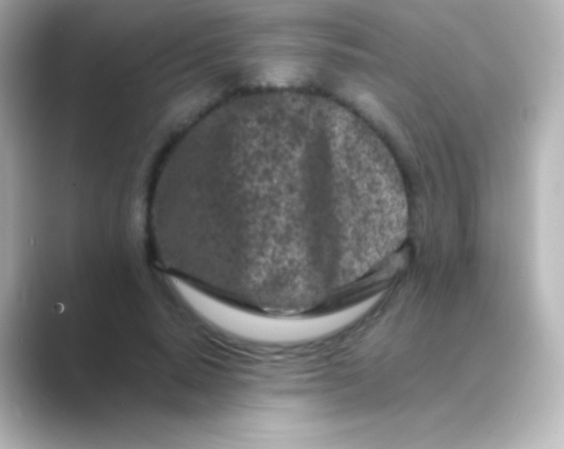 X0000088700640200706211945