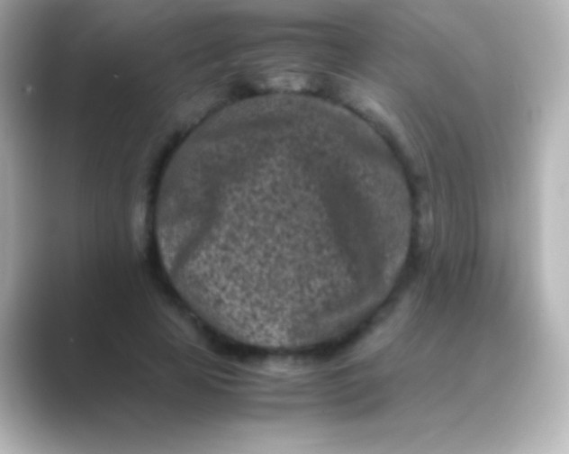 X0000088700641200706211945