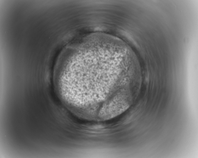 X0000088700643200706211945