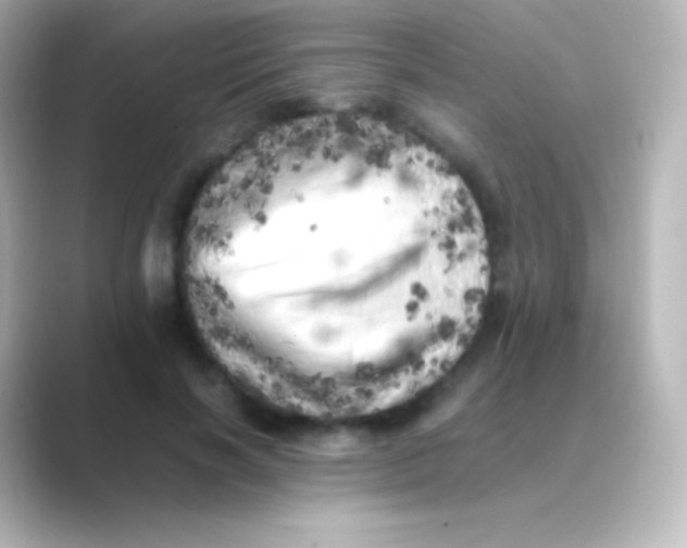 X0000088700646200706211945