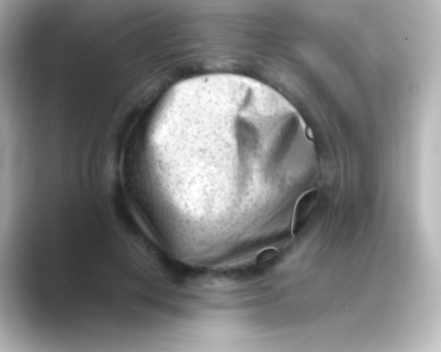 X0000088700648200706211945