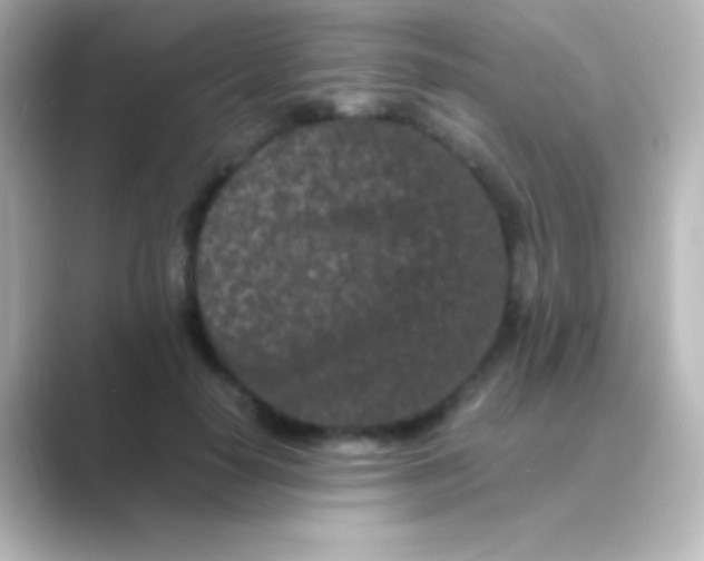 X0000088700650200706211945