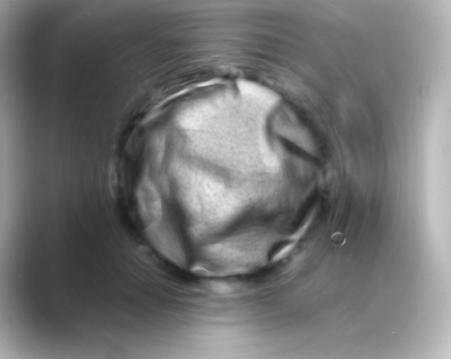 X0000088700654200706211945