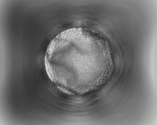 X0000088700659200706211945