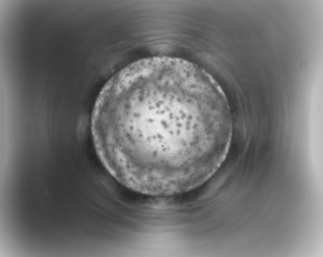 X0000088700660200706211945