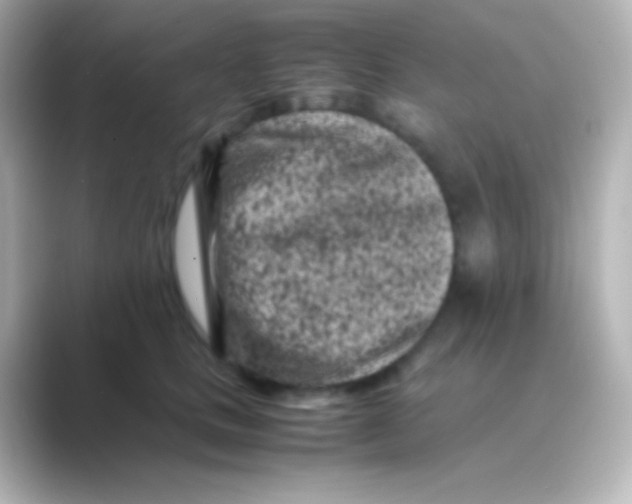 X0000088700661200706211945