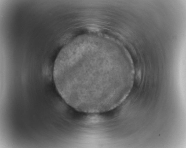 X0000088700666200706211945