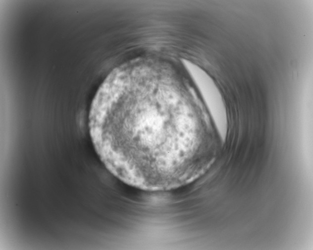 X0000088700670200706211945