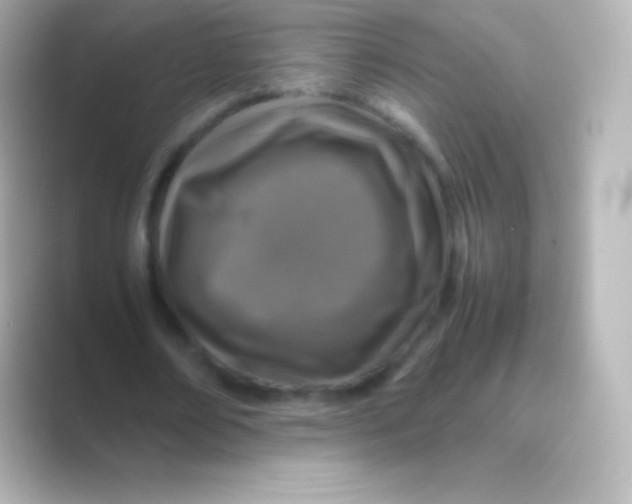 X0000088700674200706211945