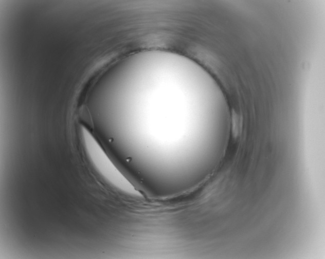 X0000088700675200706211945