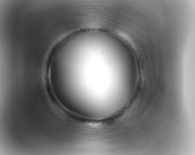 X0000088700680200706211945