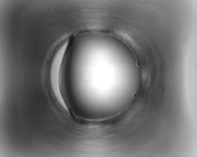 X0000088700684200706211945