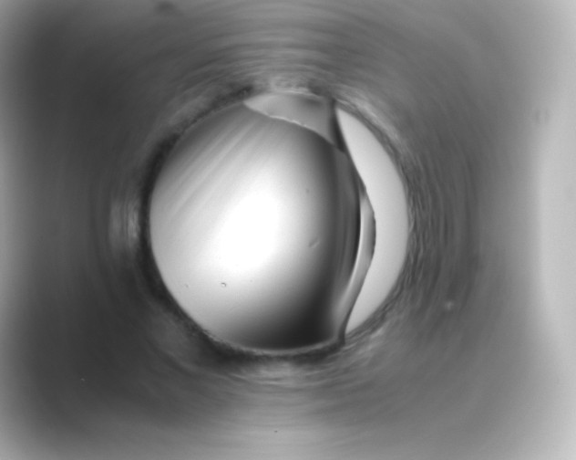 X0000088700685200706211945