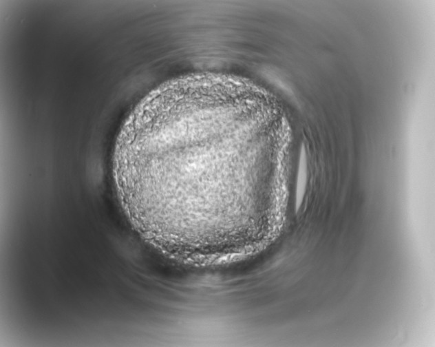 X0000088700687200706211945