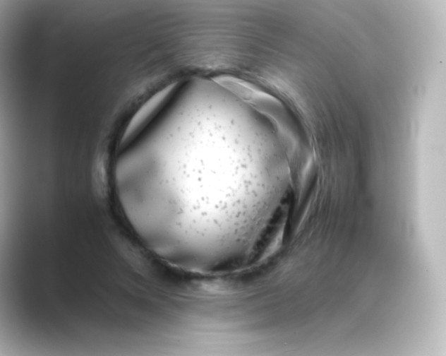 X0000088700688200706211945