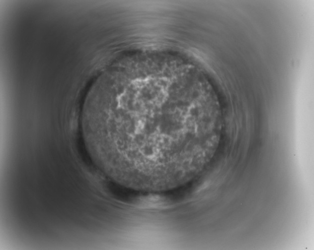 X0000088700695200706211945