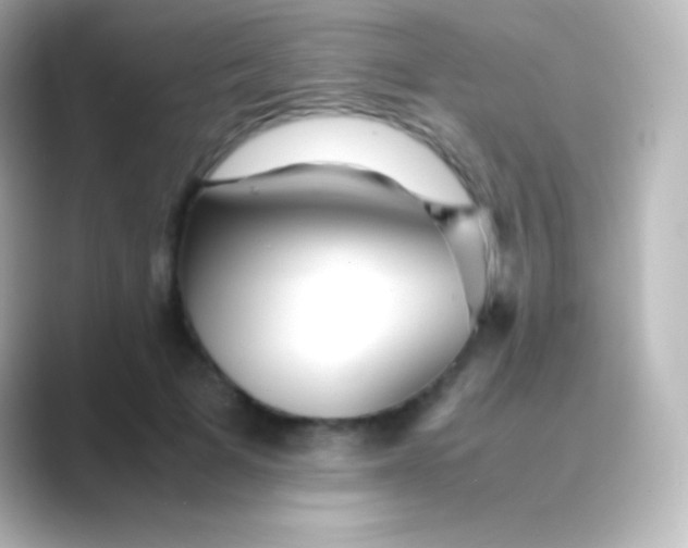 X0000088700697200706211945