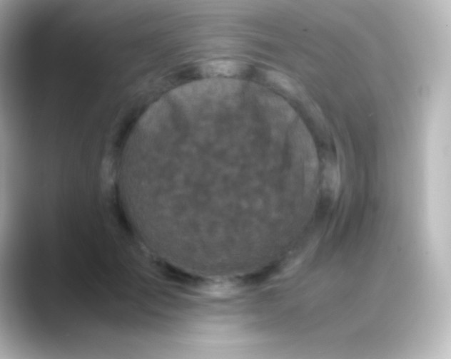 X0000088700701200706211945