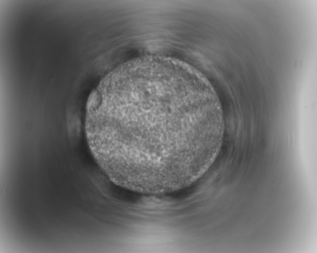 X0000088700703200706211945