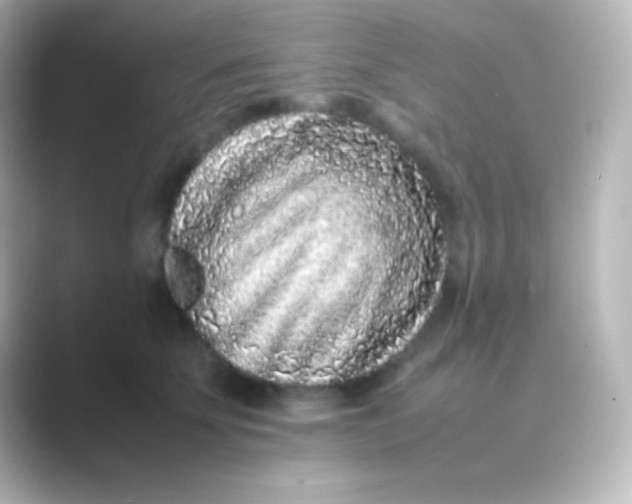 X0000088700707200706211945