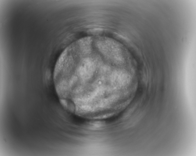 X0000088700711200706211944