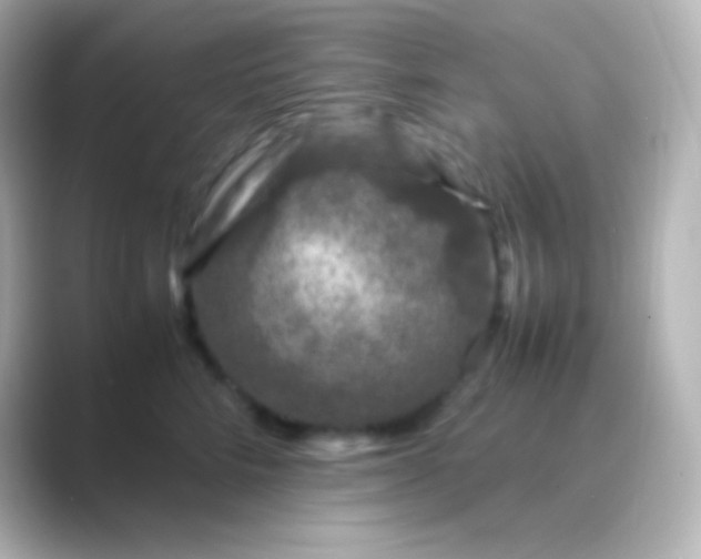 X0000088700712200706211944