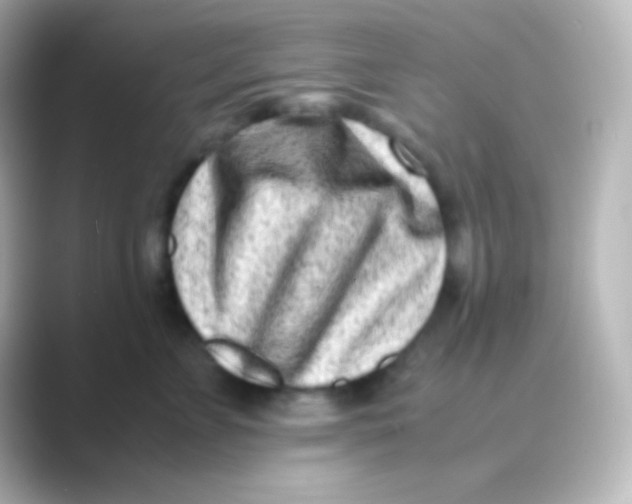 X0000088700715200706211944