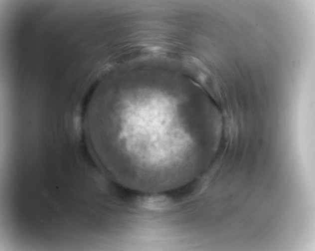 X0000088700716200706211944