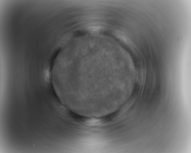 X0000088700718200706211944
