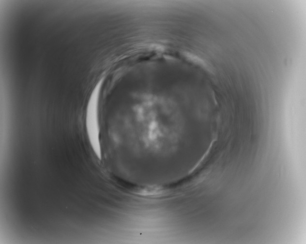 X0000088700720200706211944