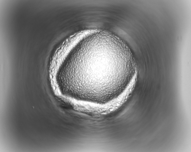 X0000088700721200706211944