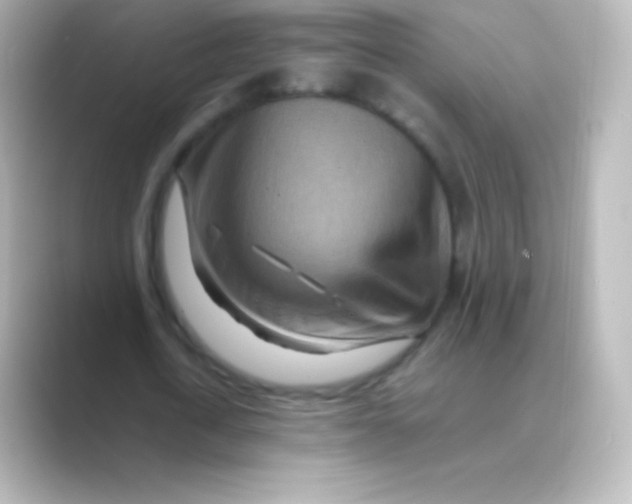 X0000088700722200706211944